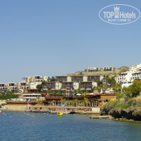 фото из отзыва ID 2738183