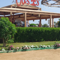 фото из отзыва ID 2738191