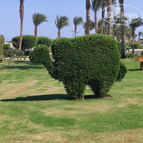 фото из отзыва ID 2738191