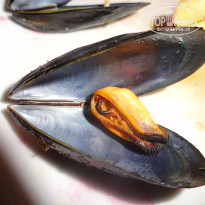 фото из отзыва ID 2738194