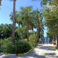 фото из отзыва ID 2738196