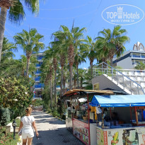 фото из отзыва ID 2738196