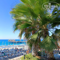 фото из отзыва ID 2738196