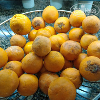 фото из отзыва ID 2738196