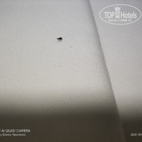 фото из отзыва ID 2738208