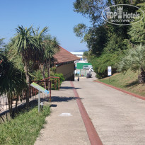 фото из отзыва ID 2738208