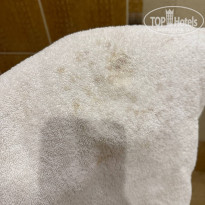 фото из отзыва ID 2738211