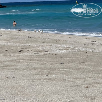 фото из отзыва ID 2738218