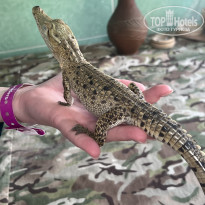 фото из отзыва ID 2738218