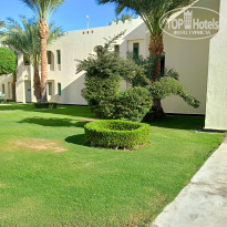 фото из отзыва ID 2738238