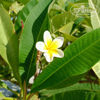 фото из отзыва ID 2738238