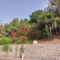 фото из отзыва ID 2738257