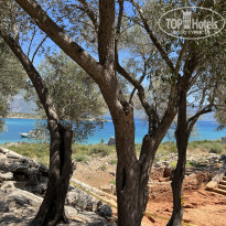 фото из отзыва ID 2738239