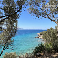 фото из отзыва ID 2738239