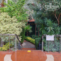 фото из отзыва ID 2738290