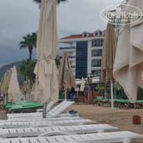 фото из отзыва ID 2738290