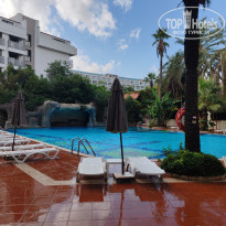 фото из отзыва ID 2738290