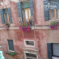 фото из отзыва ID 2738291