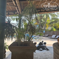 фото из отзыва ID 2738296