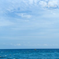 фото из отзыва ID 2738298