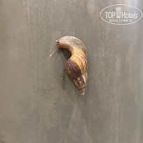 фото из отзыва ID 2738304