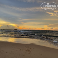 фото из отзыва ID 2738304