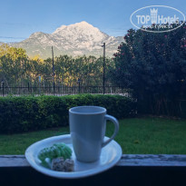 фото из отзыва ID 2738266