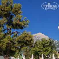 фото из отзыва ID 2738266