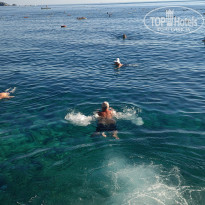 фото из отзыва ID 2738266