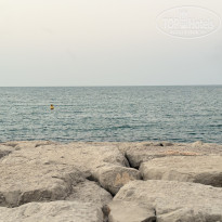 фото из отзыва ID 2738326