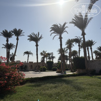 фото из отзыва ID 2738335