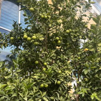 фото из отзыва ID 2737516