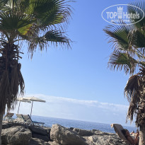 фото из отзыва ID 2737516