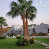 фото из отзыва ID 2738357