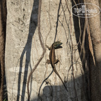 фото из отзыва ID 2738358