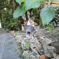 фото из отзыва ID 2738358