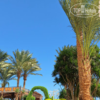 фото из отзыва ID 2738362