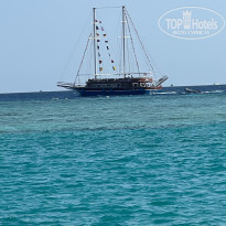 фото из отзыва ID 2738365