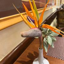 фото из отзыва ID 2738365