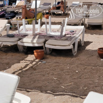 фото из отзыва ID 2738368