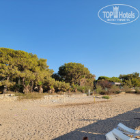 фото из отзыва ID 2738368