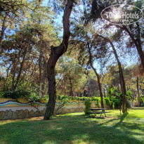 фото из отзыва ID 2738368