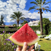 фото из отзыва ID 2738380