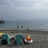 фото из отзыва ID 2738385