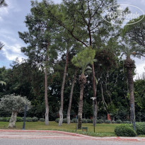 фото из отзыва ID 2738385