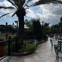 фото из отзыва ID 2738385