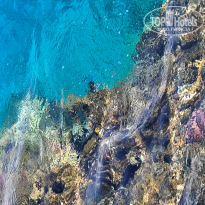 фото из отзыва ID 2733501