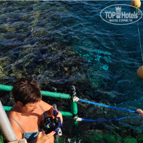 фото из отзыва ID 2733501