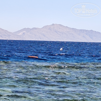 фото из отзыва ID 2733501