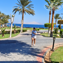 фото из отзыва ID 2733501